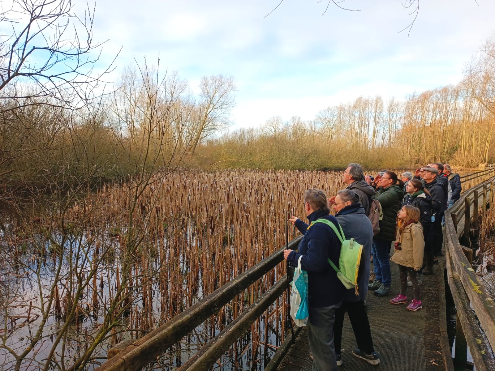 Sortie JMZH au Marais de Guines